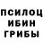 Псилоцибиновые грибы прущие грибы Nemo2D