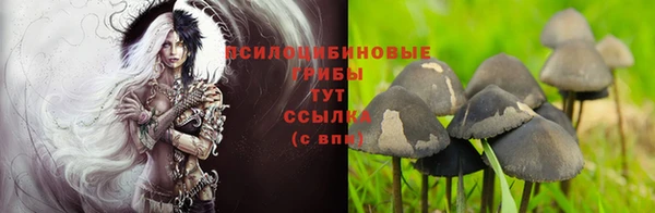 герыч Арсеньев