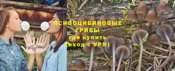 Альфа ПВП Армянск