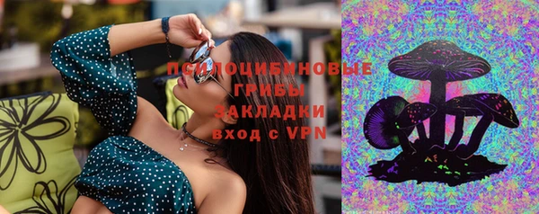 герыч Арсеньев