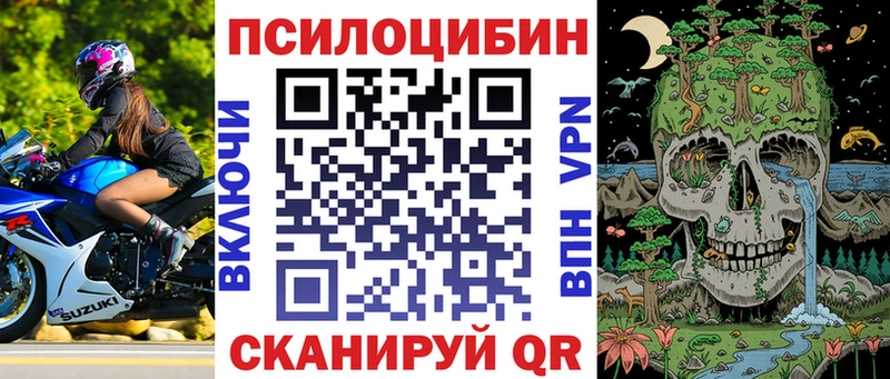 Галлюциногенные грибы Psilocybe Усть-Лабинск