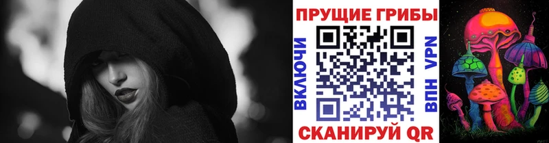 нарко площадка как зайти  Усть-Лабинск  Псилоцибиновые грибы Cubensis  наркотики 
